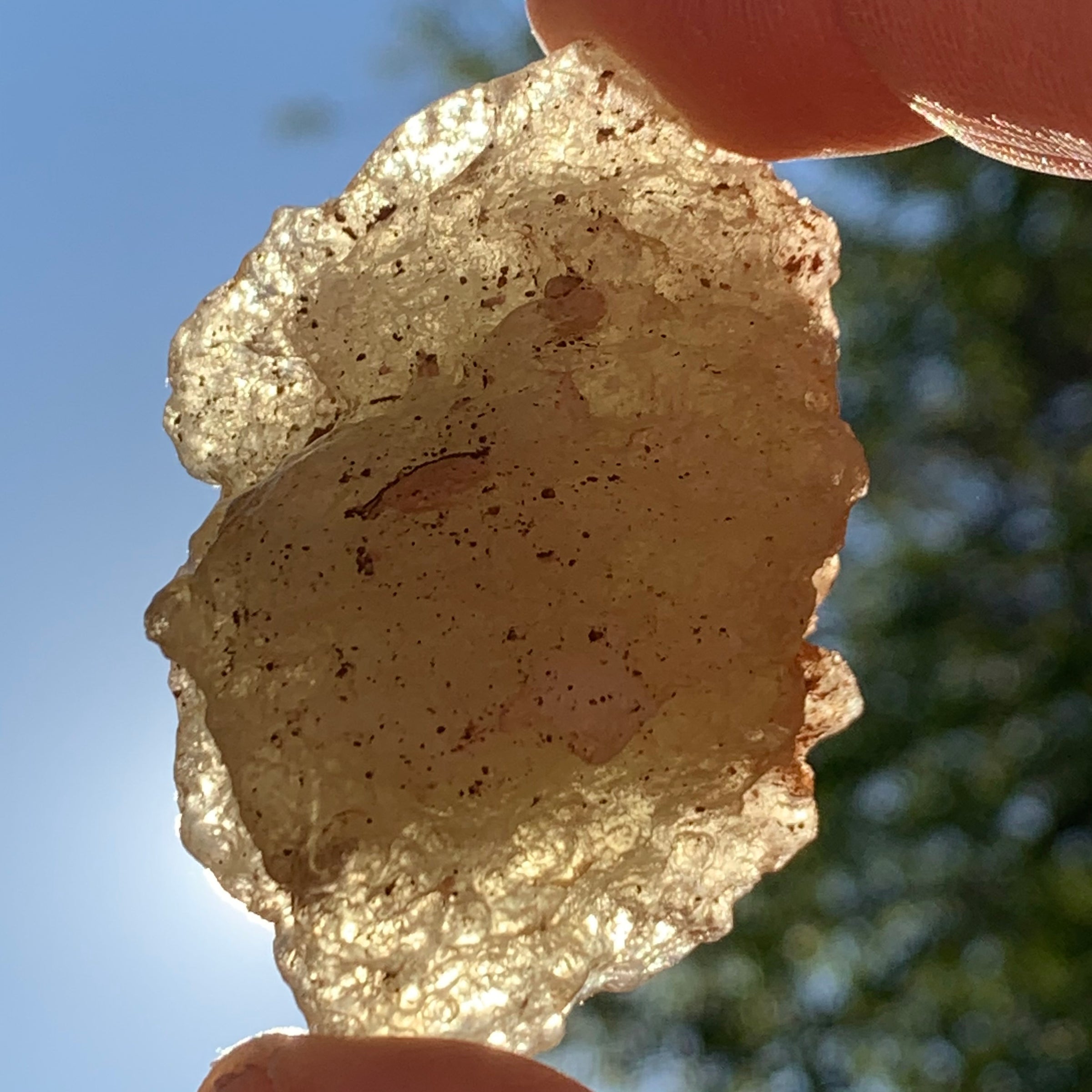 Raw Libyan Desert Glass 50.6 grams