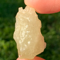 Raw Libyan Desert Glass 14.5 grams