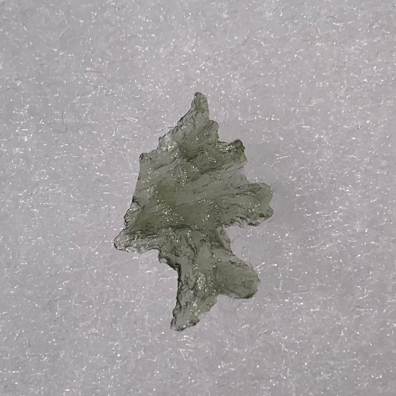 Small Besednice Moldavite Genuine Certified 0.5 gram-Moldavite Life