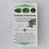 Small Besednice Moldavite Genuine Certified 0.5 gram-Moldavite Life