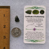 Moldavite 1.5 grams M1377