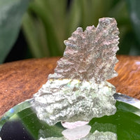 Besednice Angel Chime Moldavite 0.74 Grams