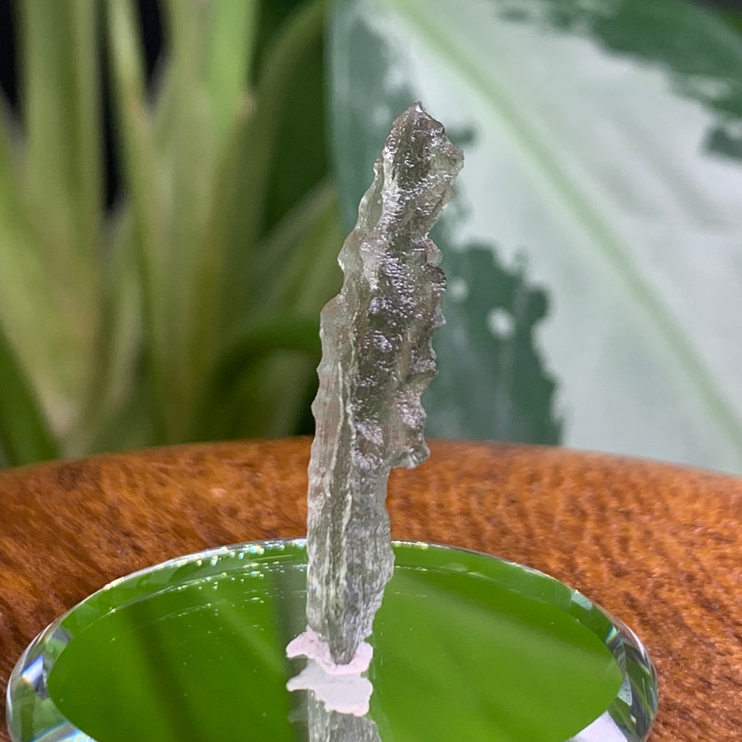 Besednice Angel Chime Moldavite 1.13 Grams