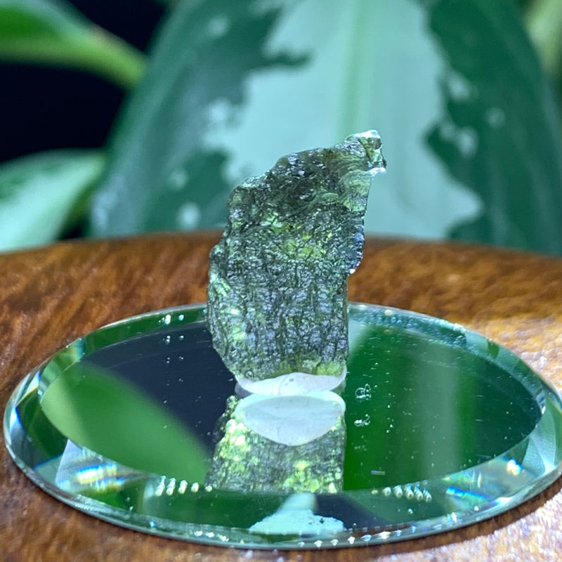 Moldavite 1.5 grams M1294