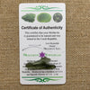 Moldavite 1.2 grams M1301