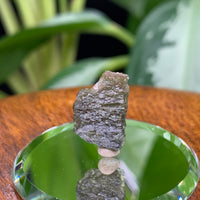 Moldavite 1 gram M1308