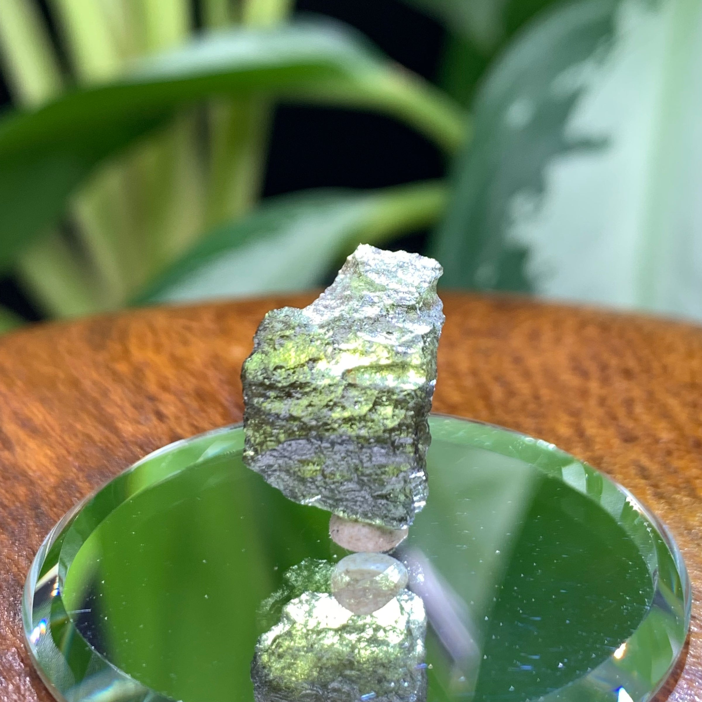 Moldavite 1 gram M1308