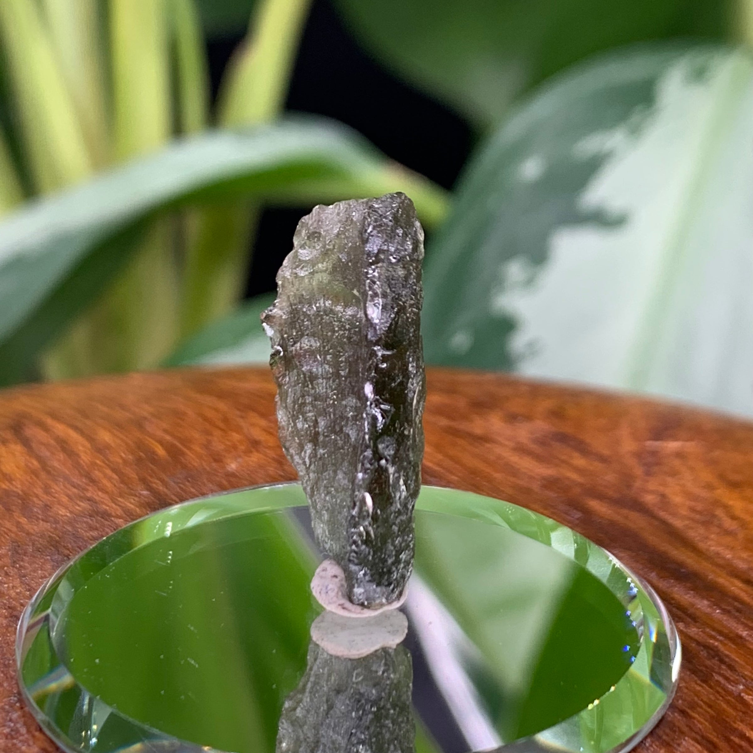 Moldavite 1.8 grams M1325