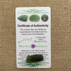 Moldavite 1.8 grams M1325