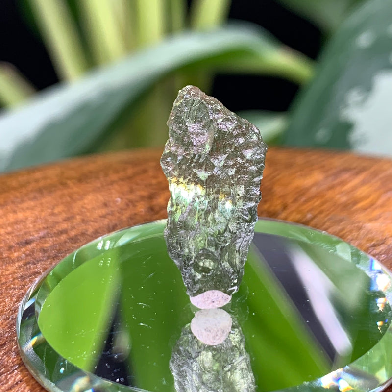 Moldavite 1 gram M1328