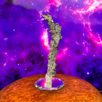 Fulgurite Lightning Natural Glass, Morocco #49-Moldavite Life