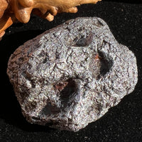 Campo Del Cielo Meteorite 406 grams #95