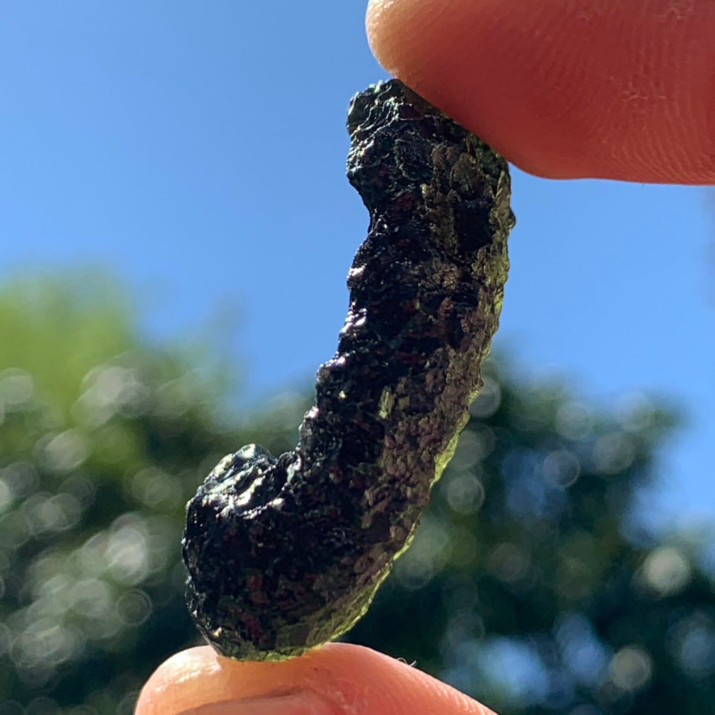 Moldavite Genuine Certified Czech Republic 10.2 grams-Moldavite Life