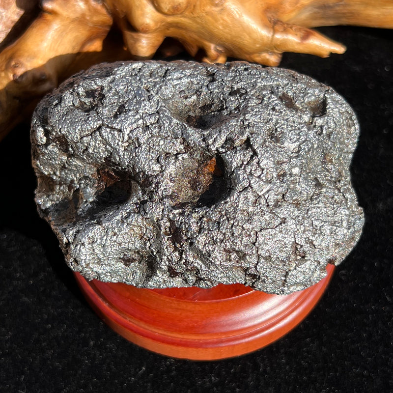 Campo Del Cielo Meteorite 406 grams #95