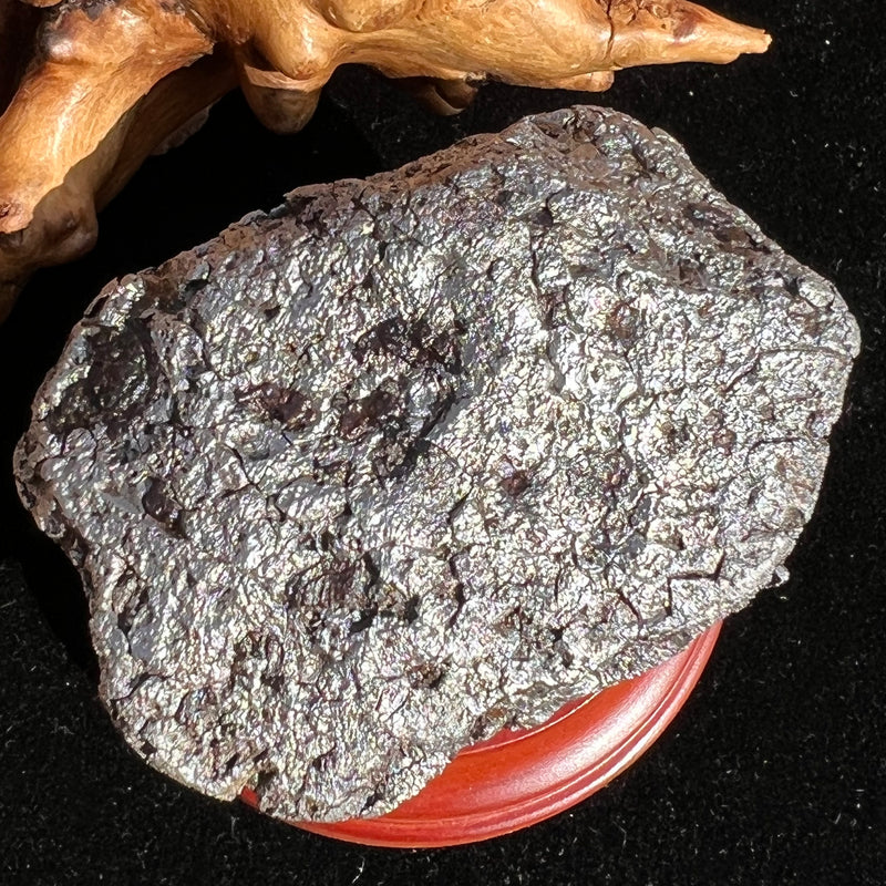 Campo Del Cielo Meteorite 406 grams #95