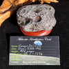 Campo Del Cielo Meteorite 406 grams #95