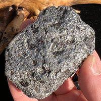 Campo Del Cielo Meteorite 406 grams #95