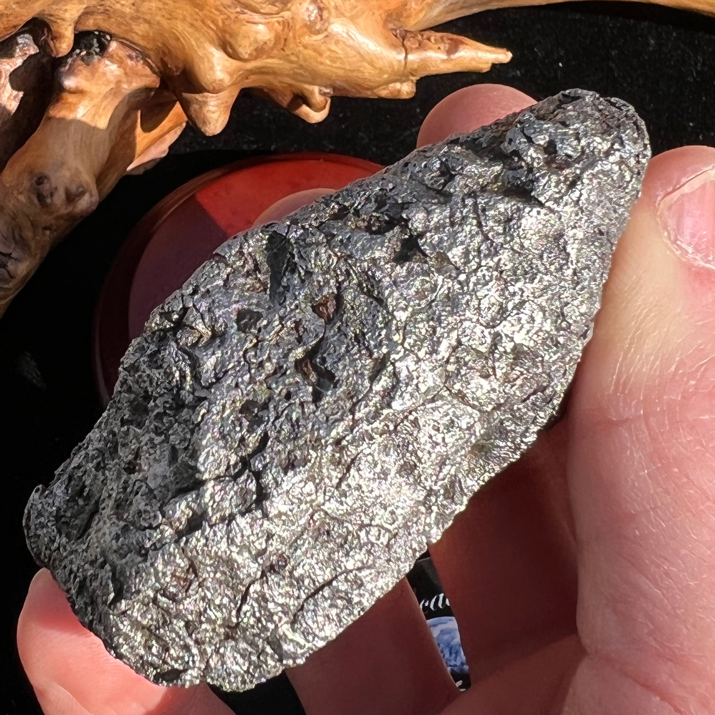 Campo Del Cielo Meteorite 406 grams #95