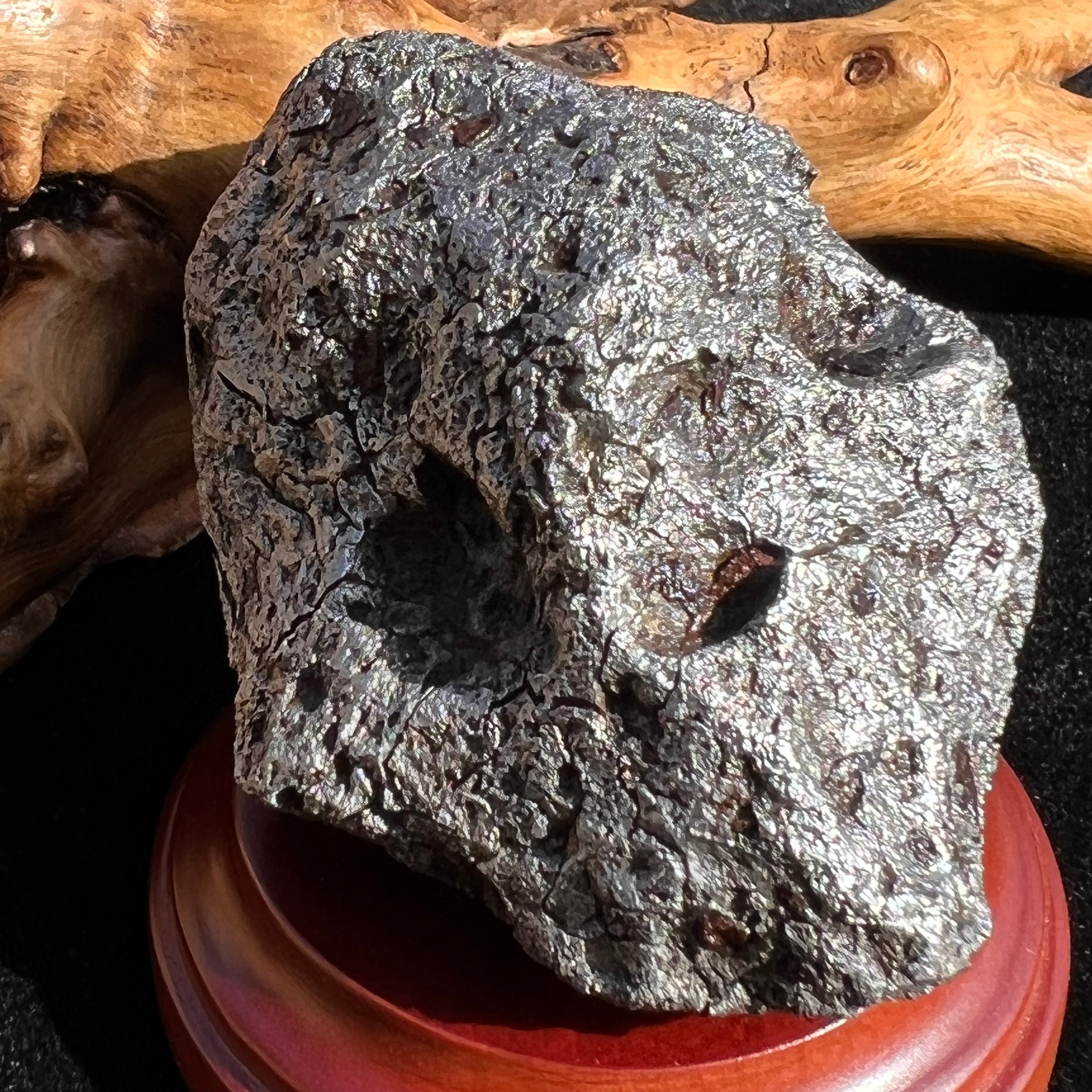 Campo Del Cielo Meteorite 538 grams #96