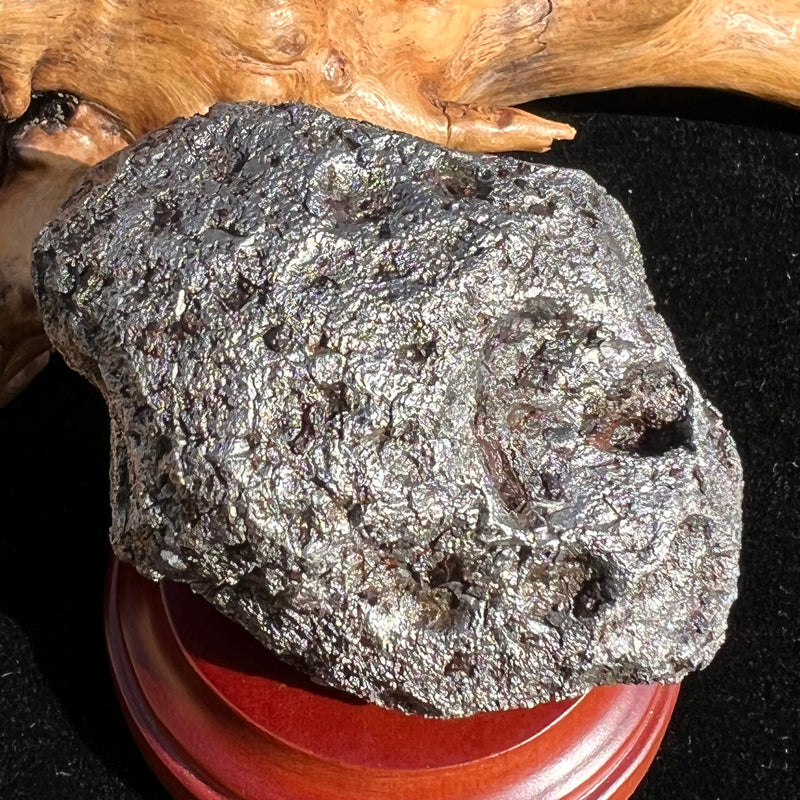 Campo Del Cielo Meteorite 538 grams #96