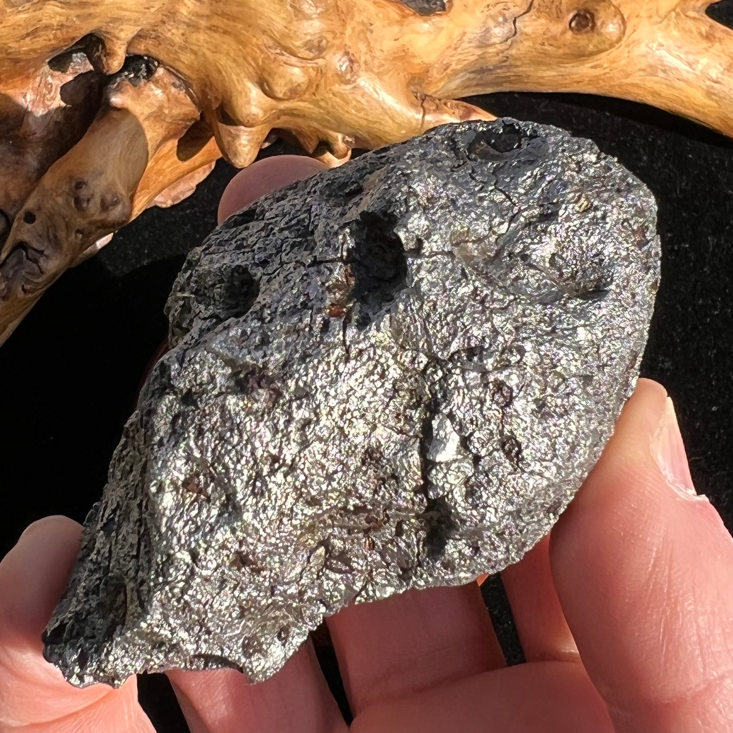 Campo Del Cielo Meteorite 538 grams #96