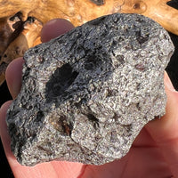 Campo Del Cielo Meteorite 538 grams #96