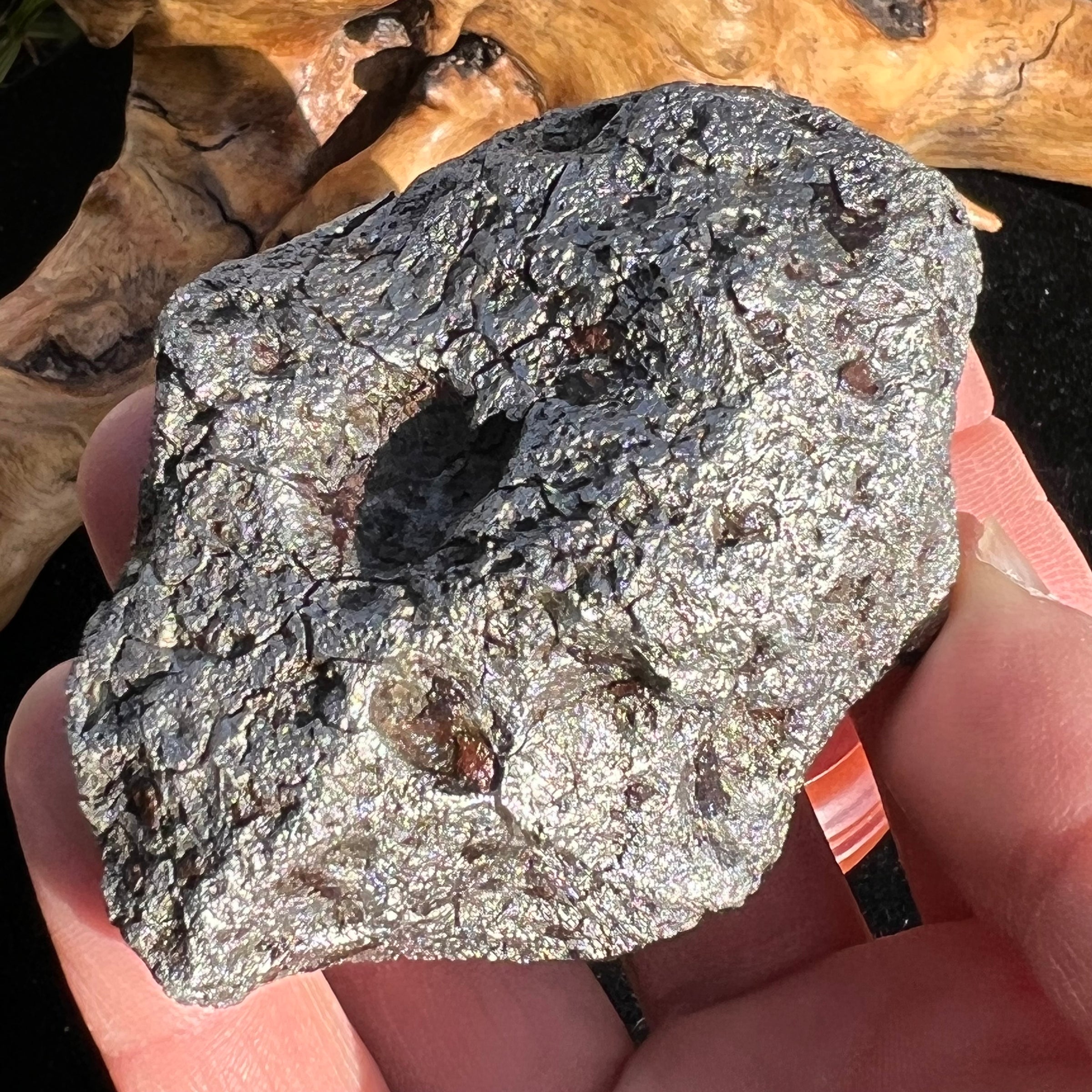 Campo Del Cielo Meteorite 538 grams #96