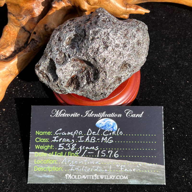 Campo Del Cielo Meteorite 538 grams #96