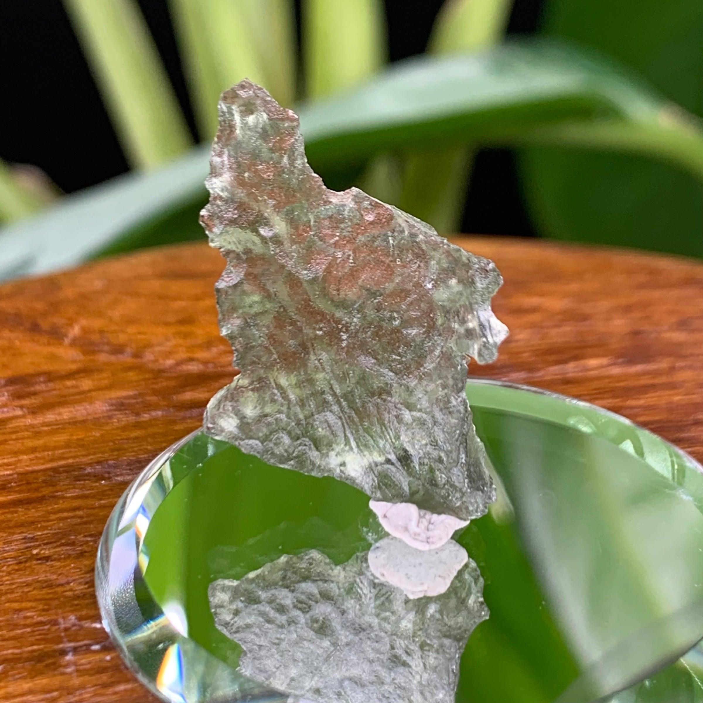 Besednice Moldavite 1.0 gram