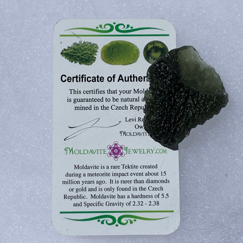 Moldavite Genuine Certified Czech Republic 17.1 grams-Moldavite Life