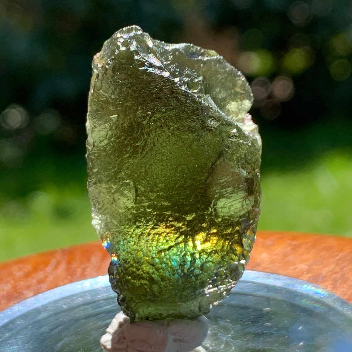 Moldavite Genuine Certified Czech Republic 10.8 grams-Moldavite Life