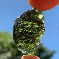 Moldavite Genuine Certified Czech Republic 10.8 grams-Moldavite Life