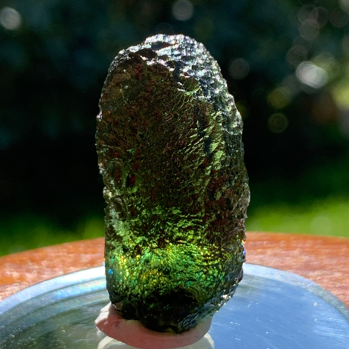 Moldavite Genuine Certified Czech Republic 13.3 grams-Moldavite Life