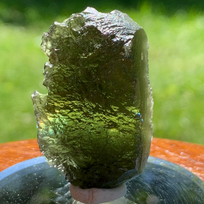 Moldavite Genuine Certified Czech Republic 15.3 grams-Moldavite Life