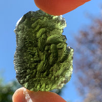 Moldavite Genuine Certified Czech Republic 15.3 grams-Moldavite Life