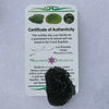 Moldavite Genuine Certified Czech Republic 15.3 grams-Moldavite Life