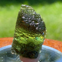 Moldavite Genuine Certified Czech Republic 10.7 grams-Moldavite Life