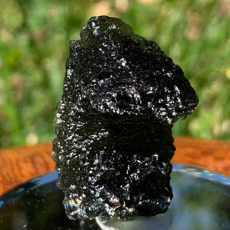 Moldavite Genuine Certified Czech Republic 10.7 grams-Moldavite Life