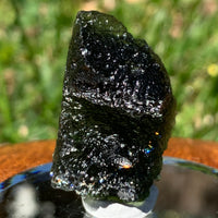 Moldavite Genuine Certified Czech Republic 10.7 grams-Moldavite Life