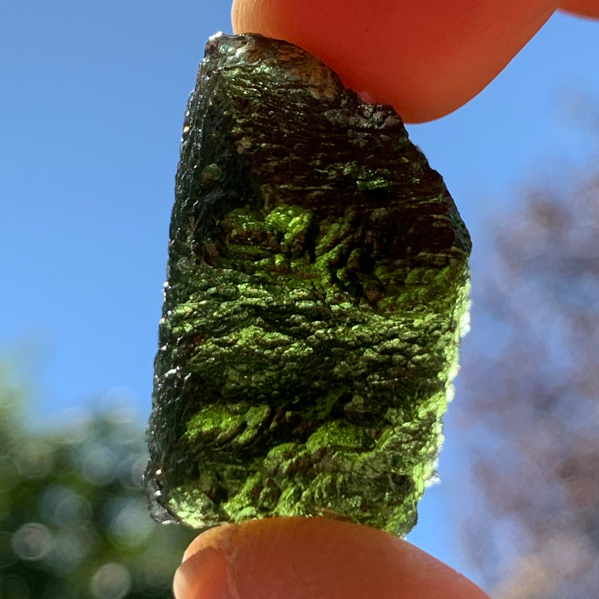 Moldavite Genuine Certified Czech Republic 10.7 grams-Moldavite Life