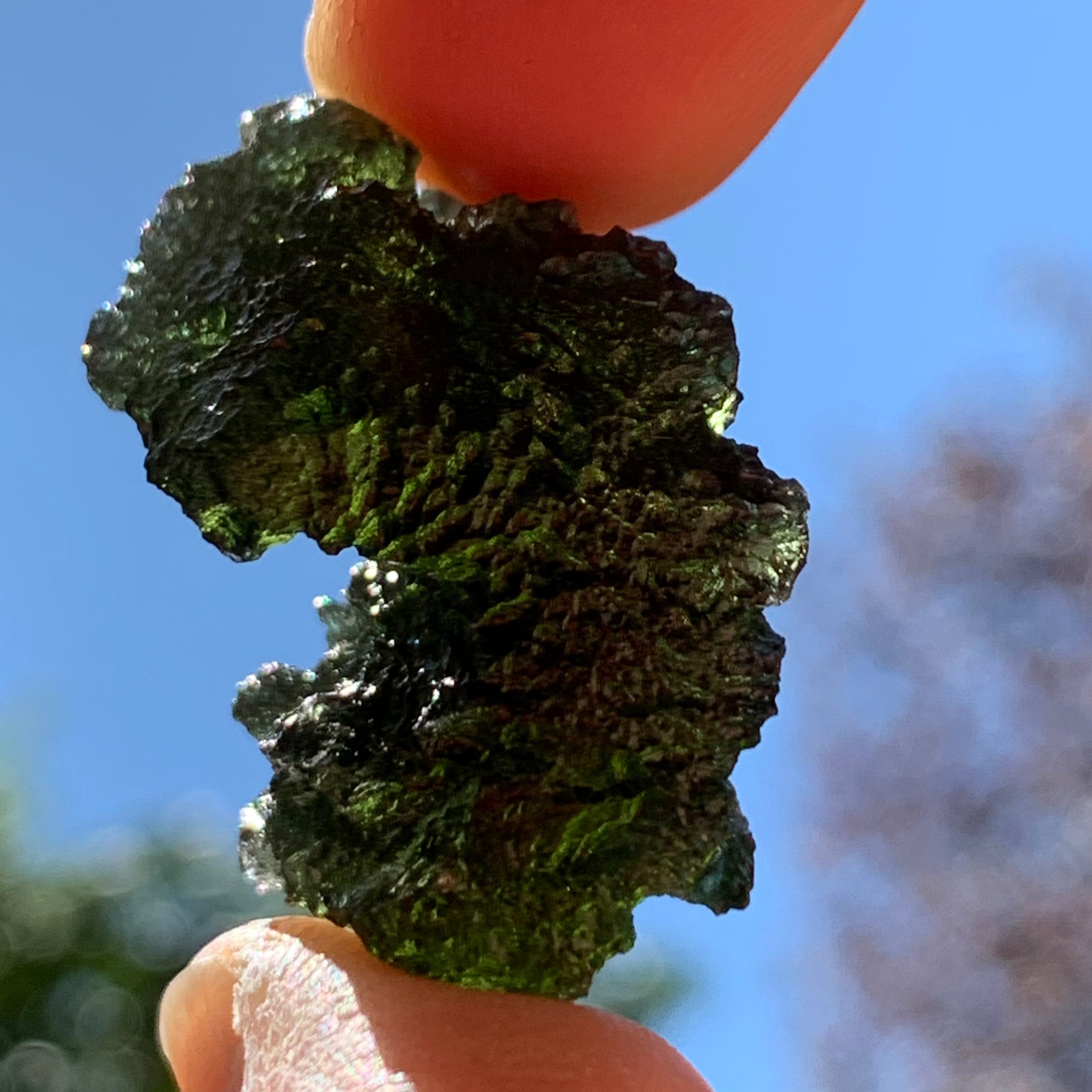 Moldavite Genuine Certified Czech Republic 10.7 grams-Moldavite Life