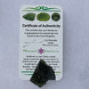 Moldavite Genuine Certified Czech Republic 10.7 grams-Moldavite Life