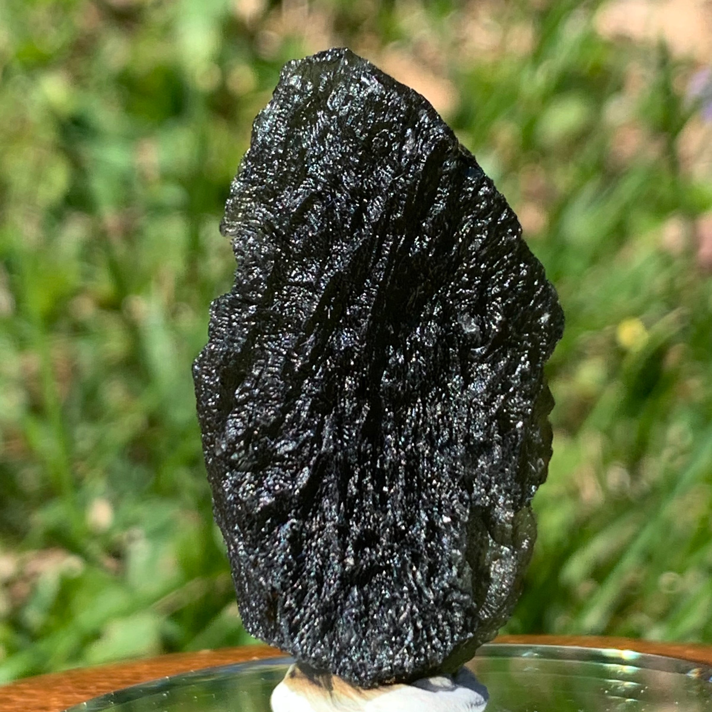 Moldavite Genuine Certified Czech Republic 12.5 grams-Moldavite Life