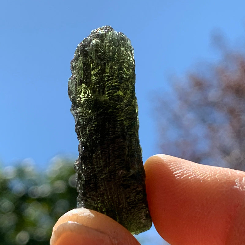 Moldavite Genuine Certified Czech Republic 12.5 grams-Moldavite Life