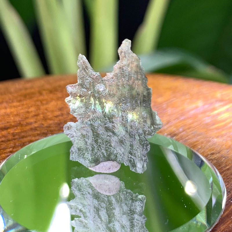 Besednice Moldavite 0.88 gram