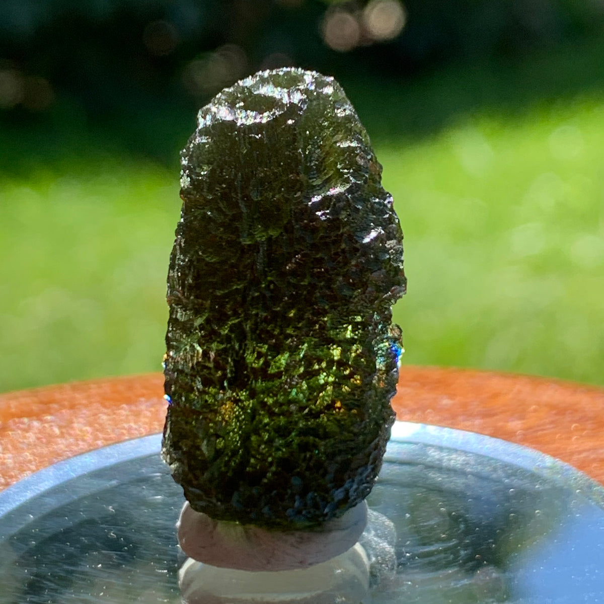 Moldavite Genuine Certified Czech Republic 12.6 grams-Moldavite Life