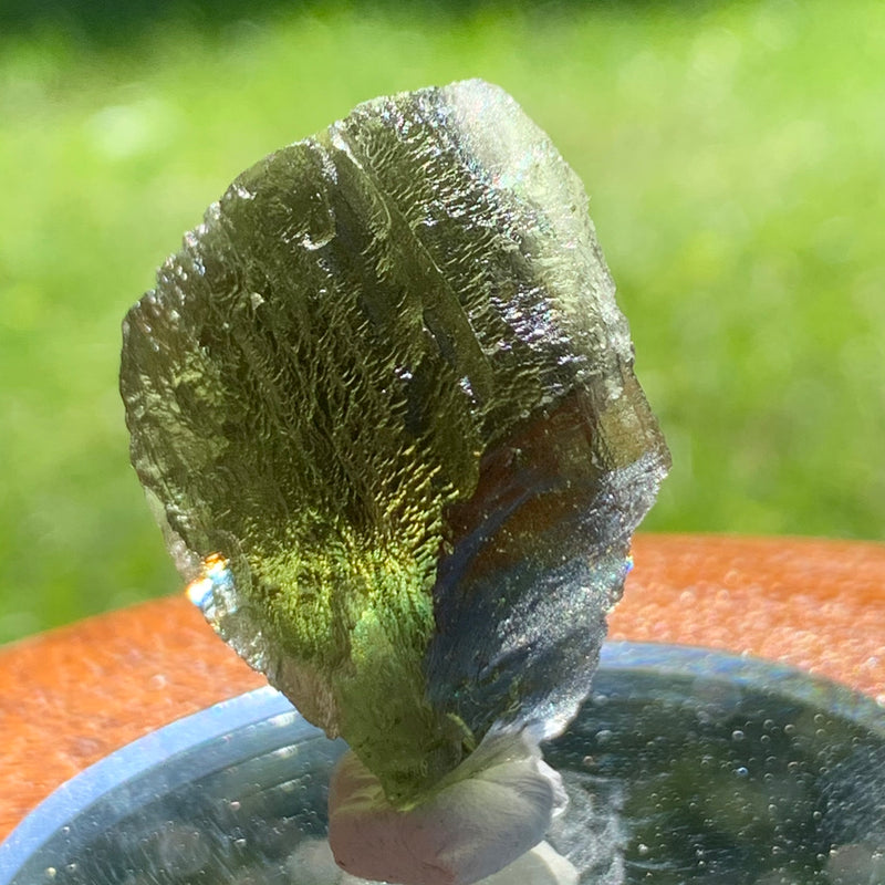 Moldavite Genuine Certified Czech Republic 12.2 grams-Moldavite Life