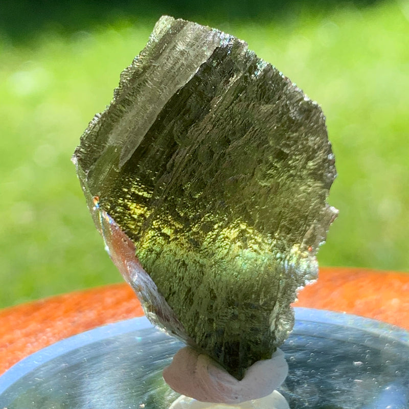 Moldavite Genuine Certified Czech Republic 12.2 grams-Moldavite Life