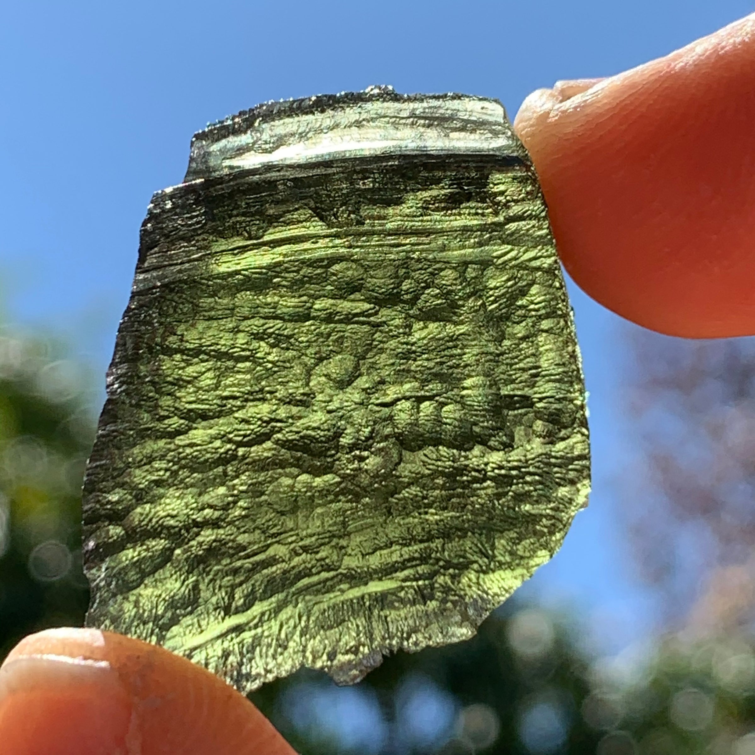 Moldavite Genuine Certified Czech Republic 12.2 grams-Moldavite Life