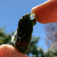 Moldavite Genuine Certified Czech Republic 12.2 grams-Moldavite Life